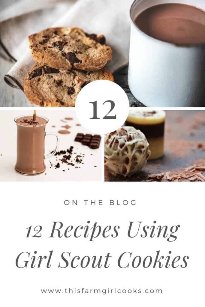 12 Recipes using girl scout cookies