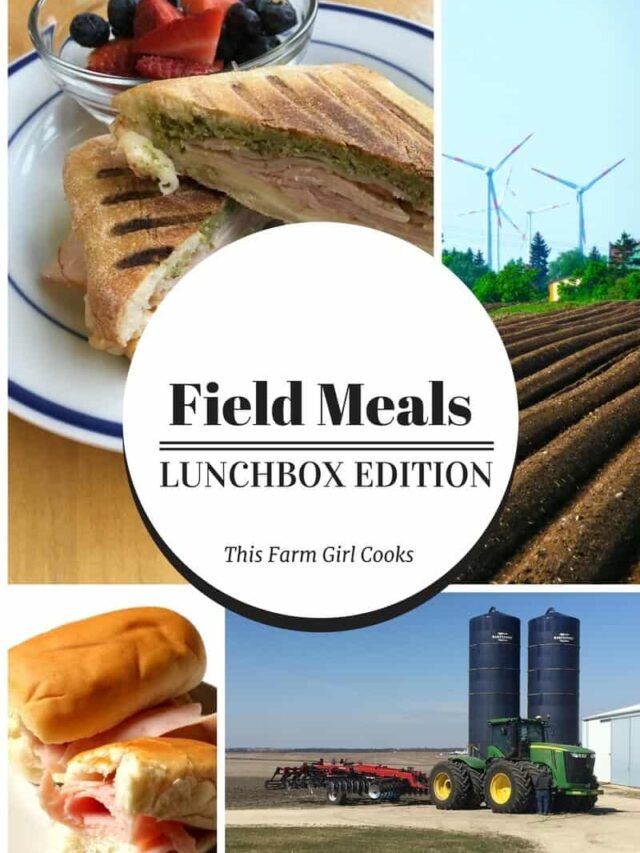Meals for Families on the Go - This Farm Girl Cooks