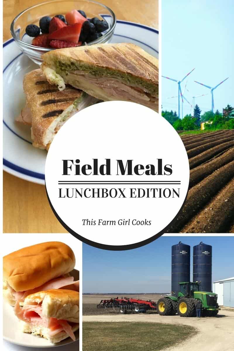 Field Meals Lunch Ideas to Take On the Go