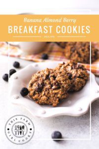 make ahead breakfast cookies