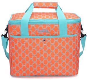 A orange and blue cooler bag.