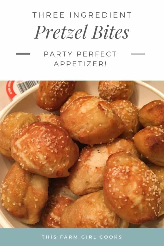 Easy Pretzel Bites with Pizza Dough