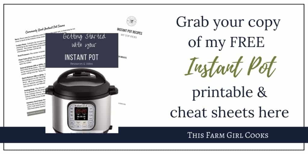 Instant Pot Basics &amp; Resources for Beginners