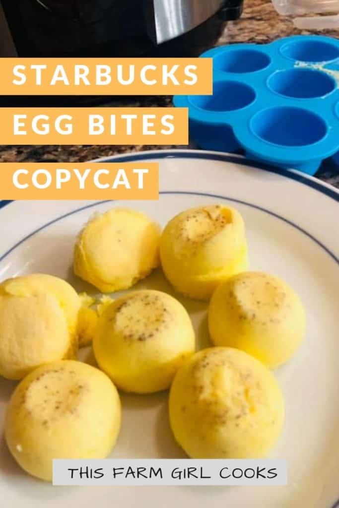 instant pot egg bites recipe