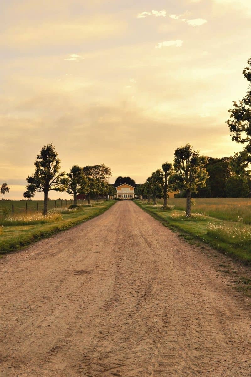 A country road leading to a house.