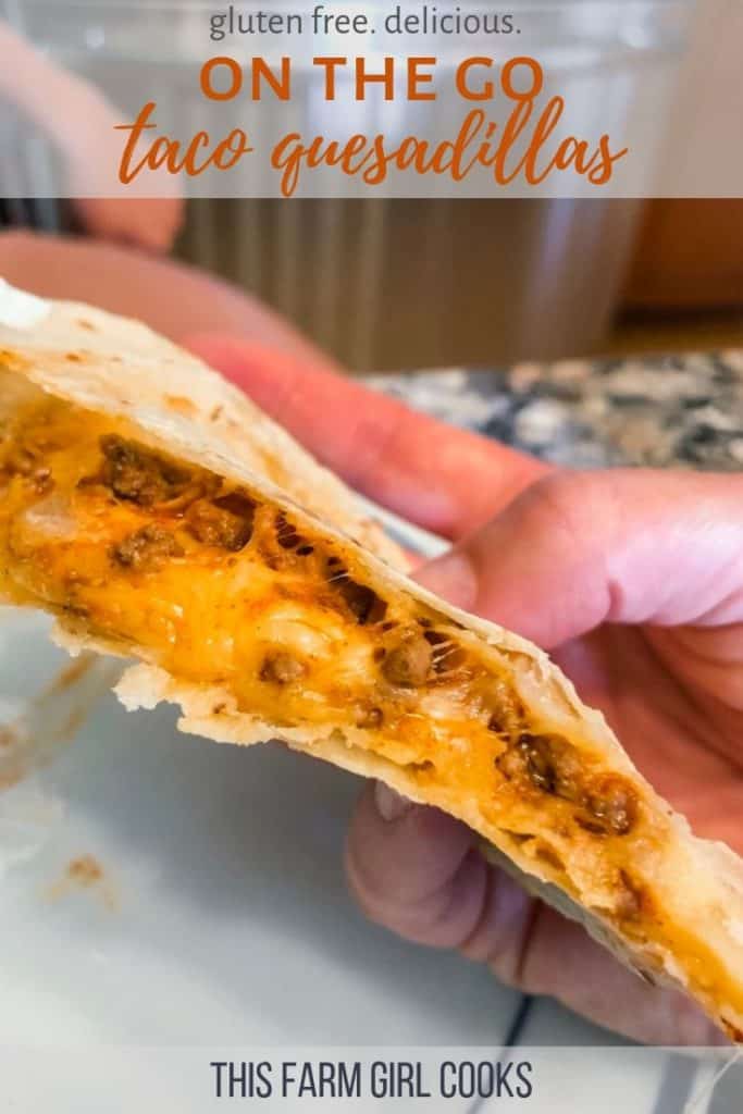 taco quesadillas