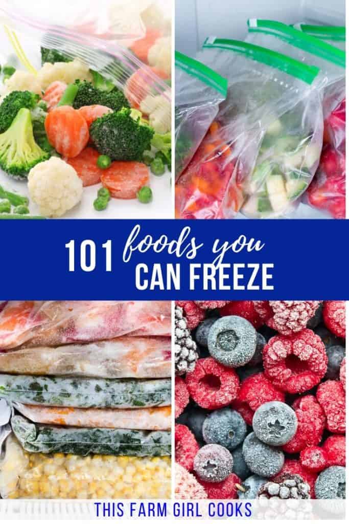 foods you can freeze