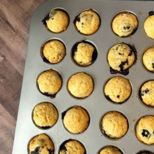 mini blueberry muffins
