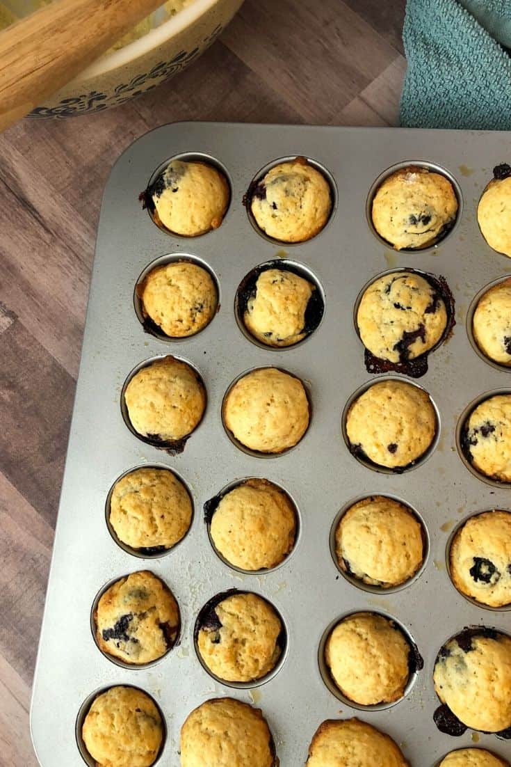 mini blueberry muffins