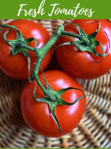 Tomatoes on the vine.