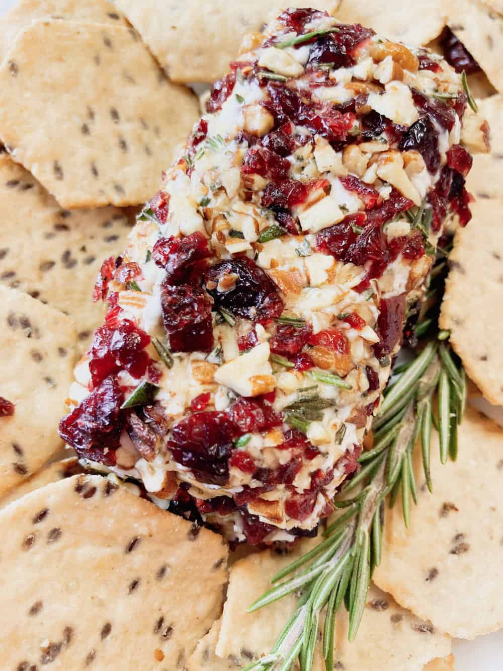 Cranberry Goat Cheese Appetizer-image
