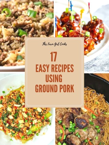 recipes using ground pork