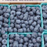 how to freeze fresh blueberries