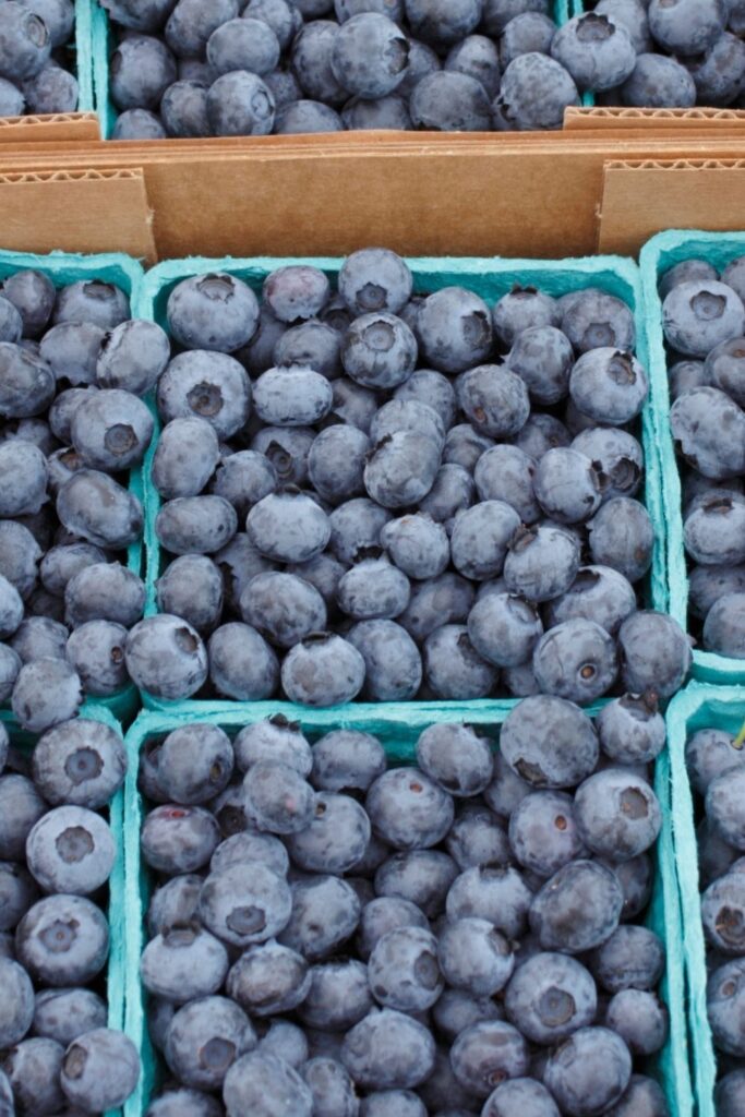fresh blueberries in cartons