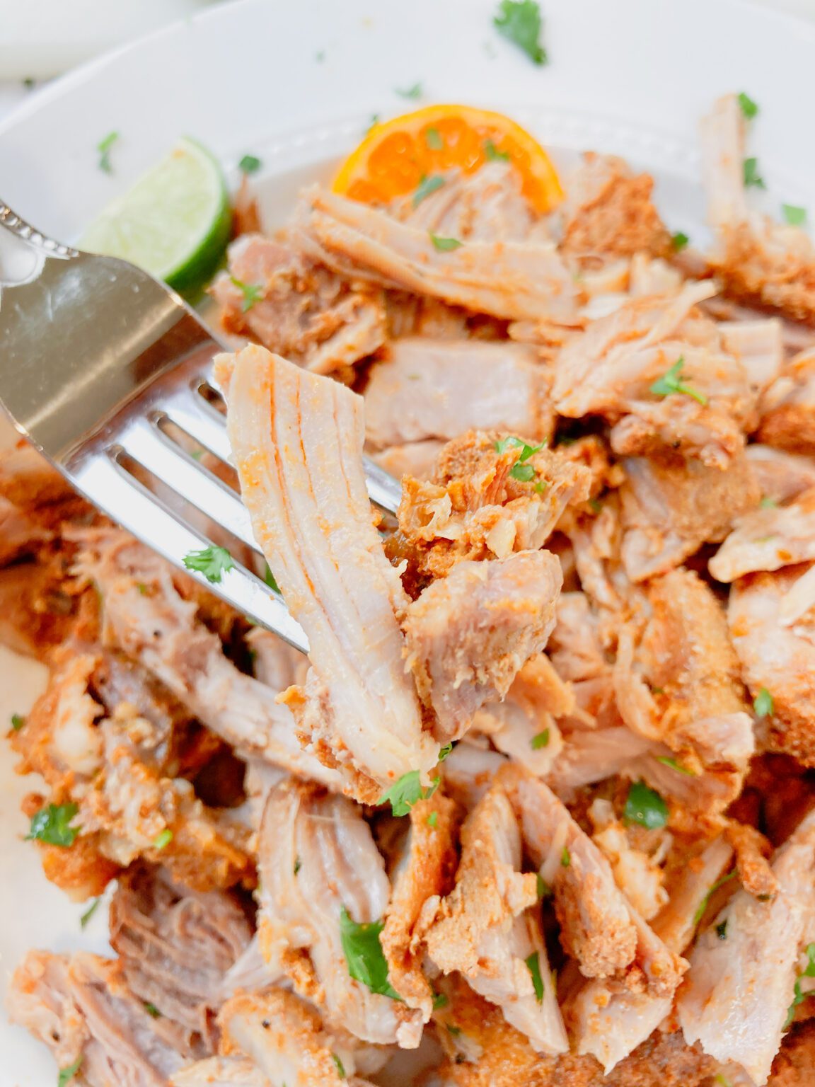 The BEST Instant Pot Pork Carnitas