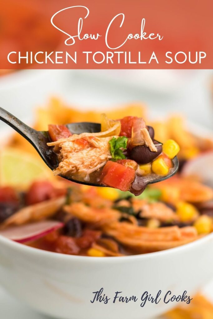 Healthy Chicken Tortilla Soup Pin