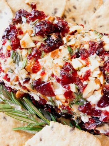 A goat cheese log coated in dried cranberries, rosemary and pecans with crackers on the side.
