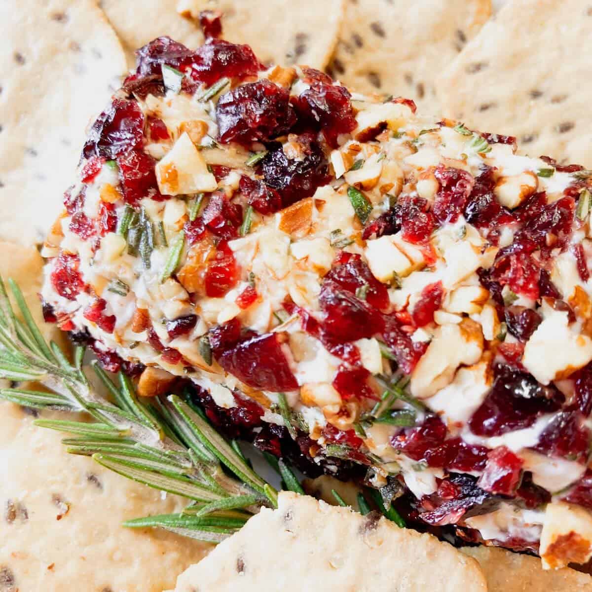 A goat cheese log coated in dried cranberries, rosemary and pecans with crackers on the side.