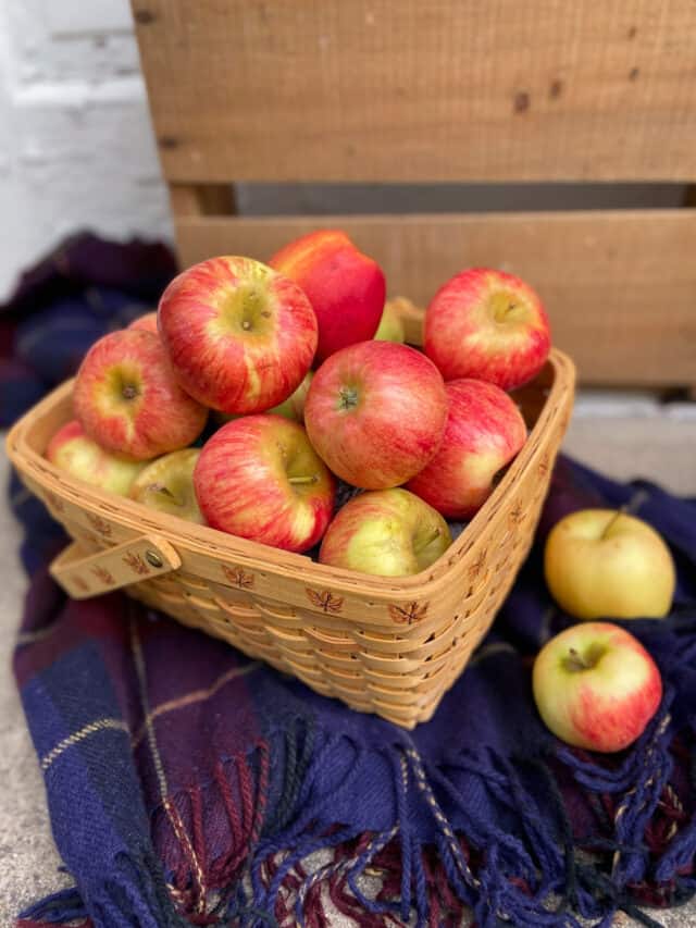 A basket full of apples with a picnic blanket.