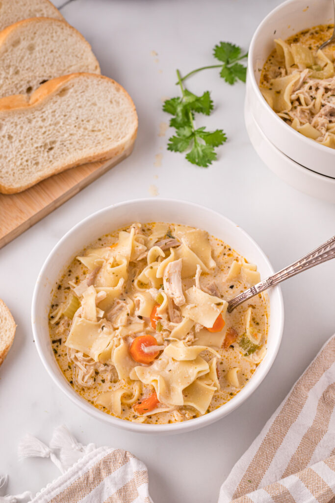 Dutch Oven Chicken Noodle Soup