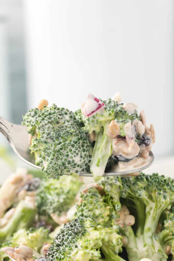 A spoon full of broccoli craisin salad.