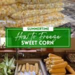 How to freeze sweet corn.