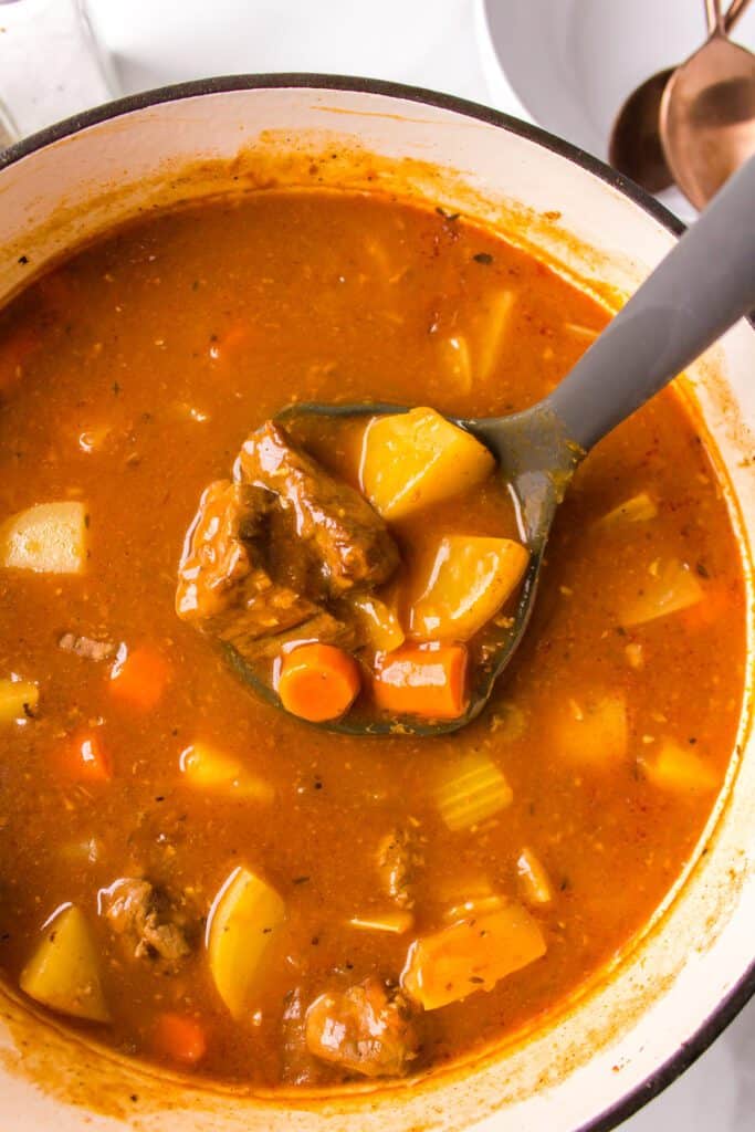 A ladle full of beef stew.