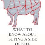 What to know about buying a side of beef.