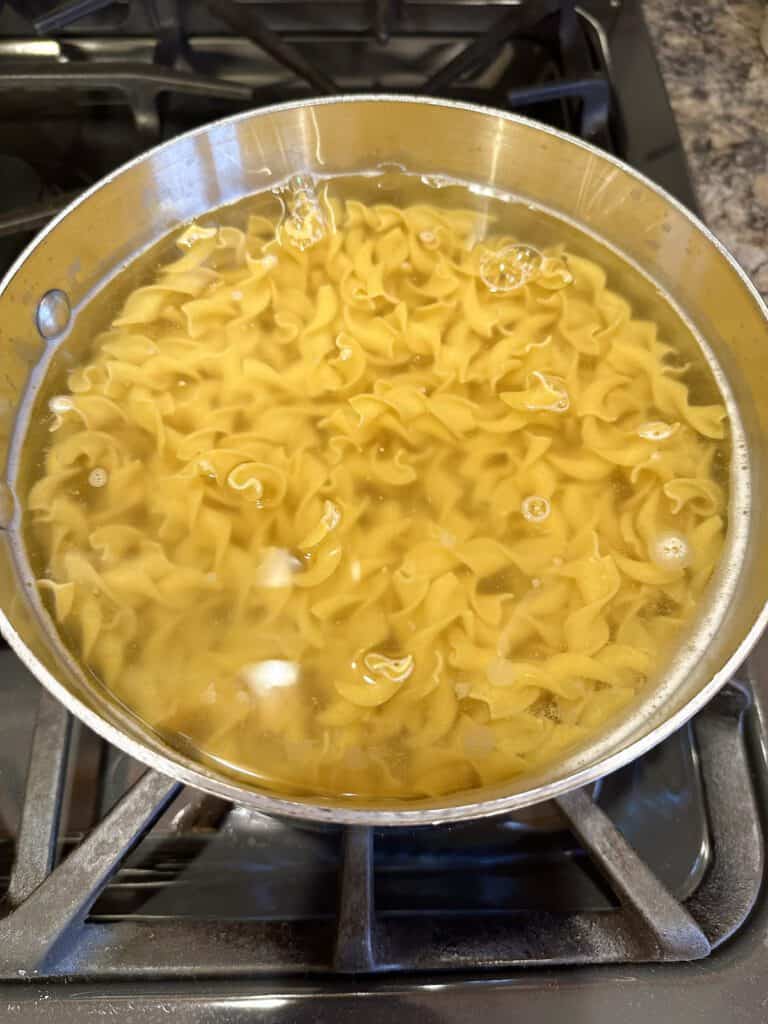 Egg noodles in a large pot of water.