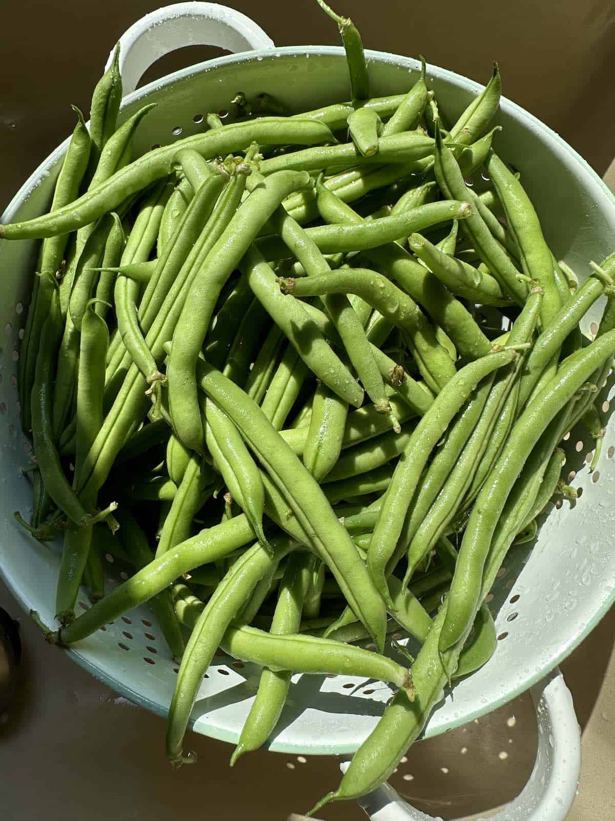 Fresh green beans rinsed in a strainer.