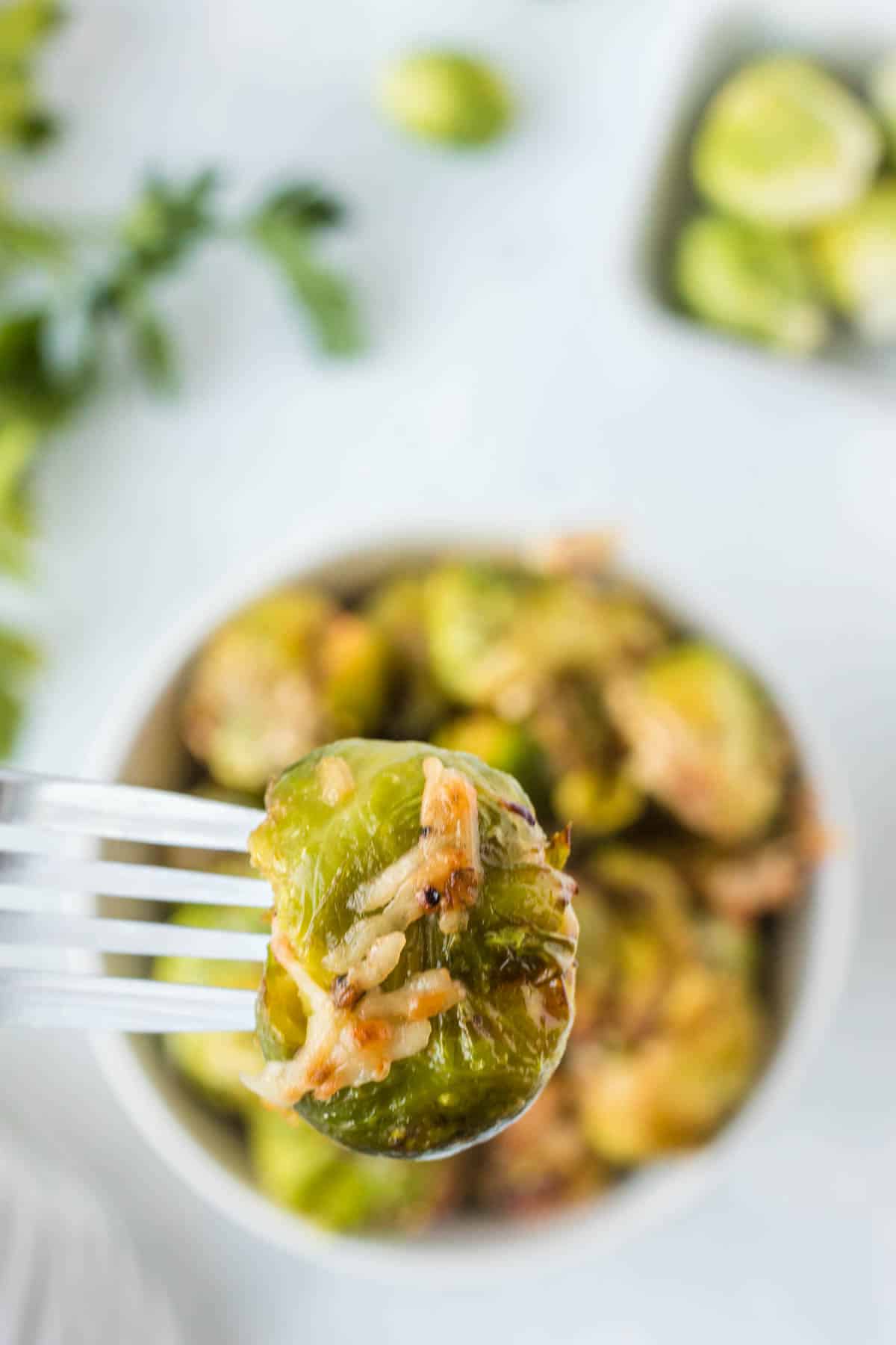 A fork holding a balsamic and parmesan seasoned brussels sprout.