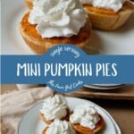 Single serving mini pumpkin pies topped with whipped cream.