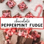 Chocolate peppermint fudge pieces arranged on a tray.