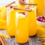 Punch in a tall glass topped with a cinnamon stick...