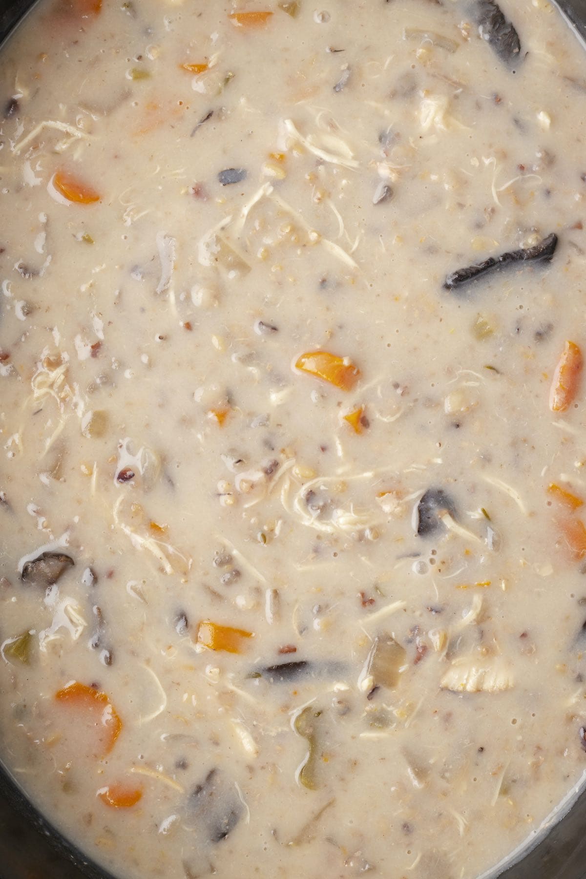 Creamy chicken and wild rice soup in the crockpot.