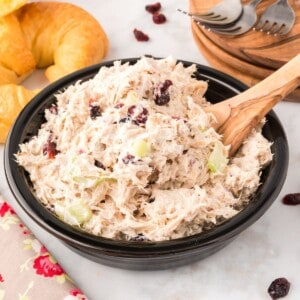 A bowl of chicken salad with cranberries.
