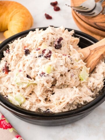 A bowl of chicken salad with cranberries.