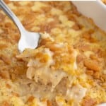 A fork full of poppy seed chicken casserole in a white baking dish topped with crumbled potato chips.