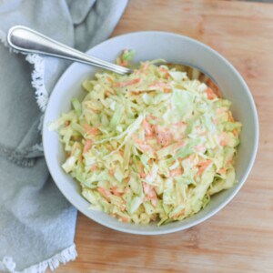 A bowl of American cole slaw.