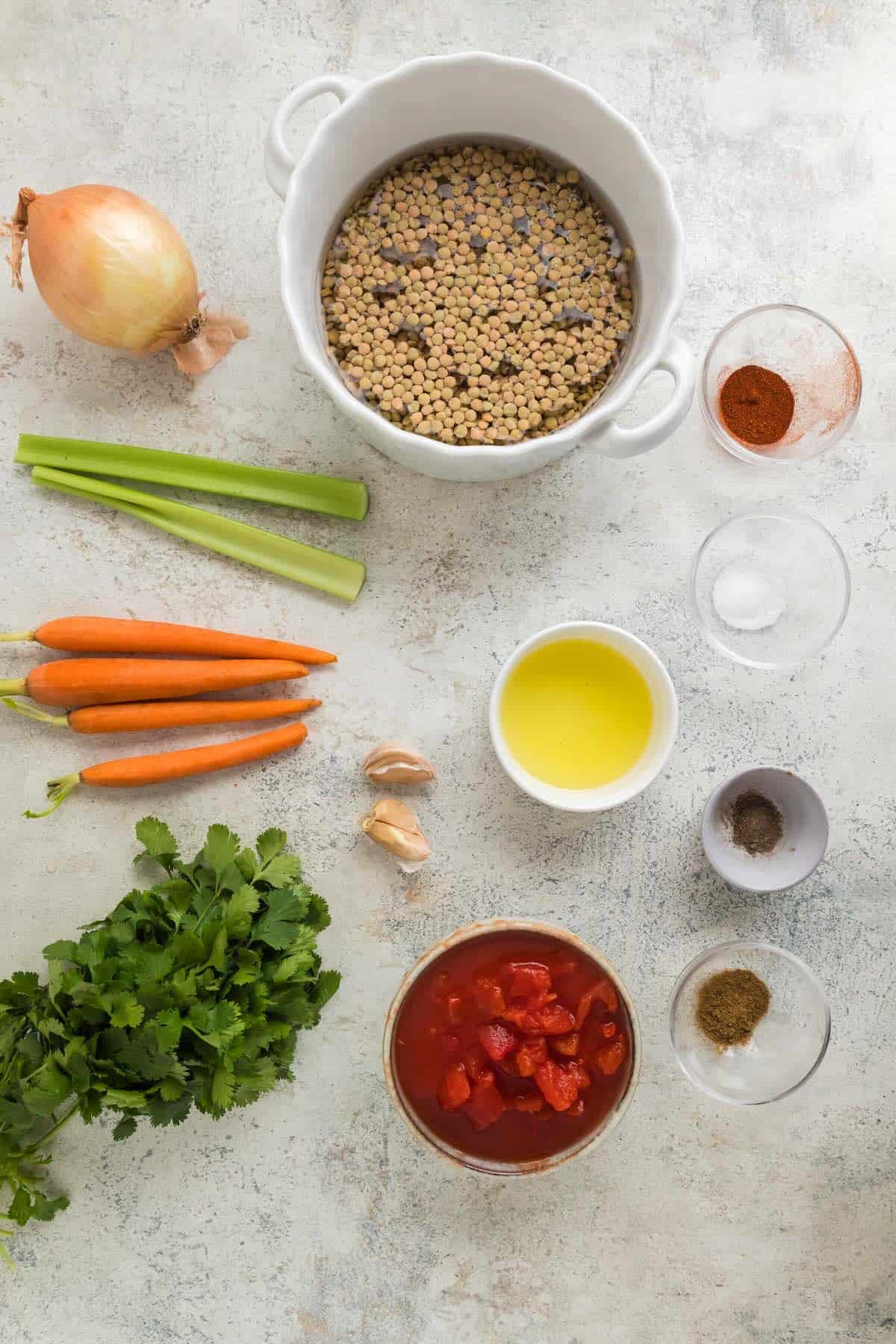 Ingredients to make a vegetable lentil soup.