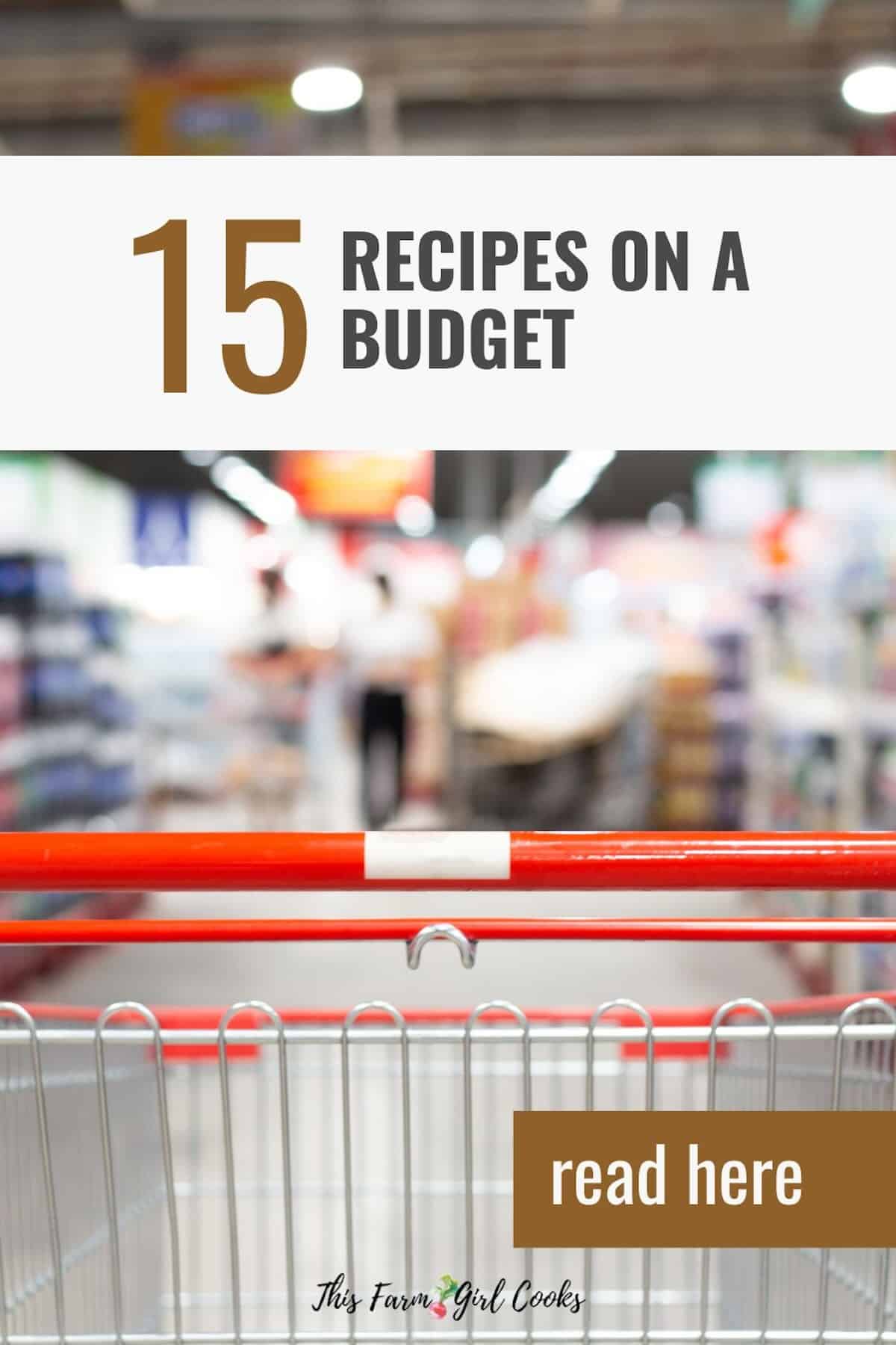 15 recipes on a budget with a grocery cart.
