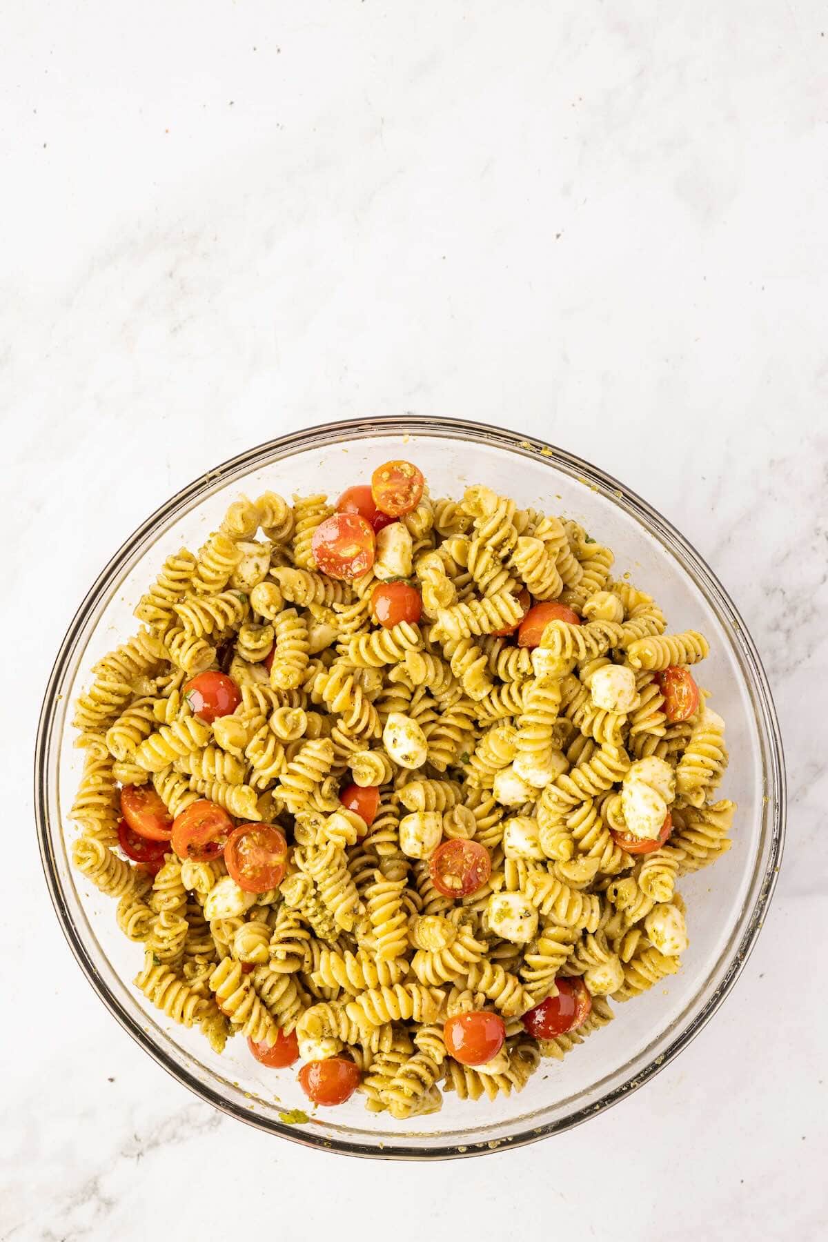 Mixed rotini pasta salad with mozzarella and tomatoes.