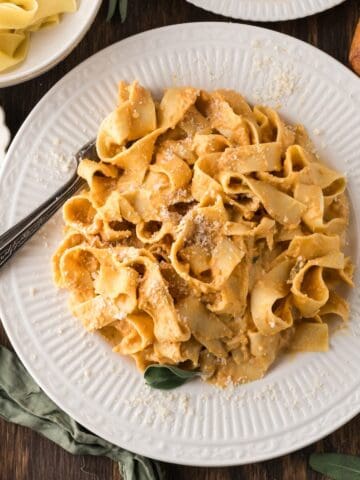 A plate full of wide noodles coated in a creamy pumpkin sauce.