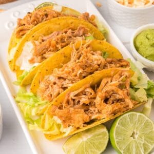Close-up of tender shredded chicken tacos in corn tortillas.