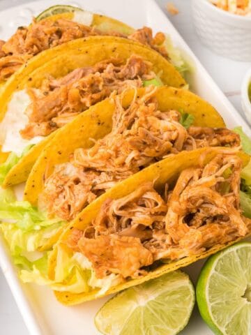 Close-up of tender shredded chicken tacos in corn tortillas.