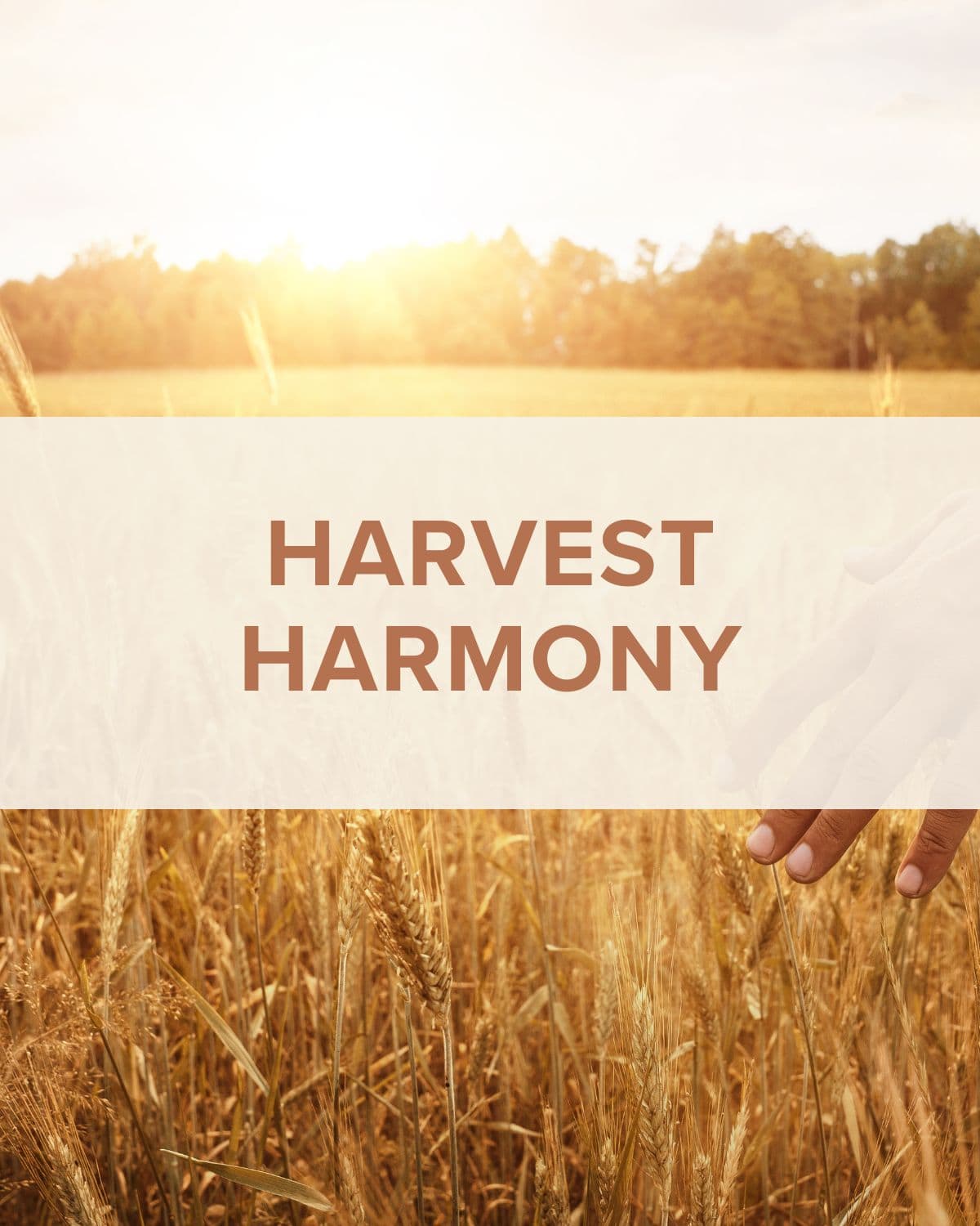 Harvest harmony.