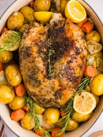 A roasted bone-in turkey breast in a roasting pan with herbs, lemon and vegetables.