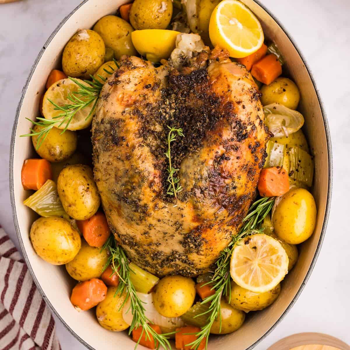 A roasted bone-in turkey breast in a roasting pan with herbs, lemon and vegetables.