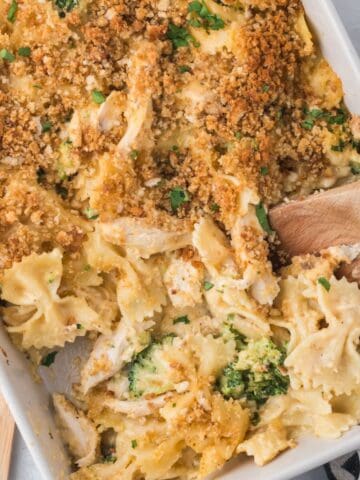 A spoonful of a cheesy casserole with chicken and broccoli.