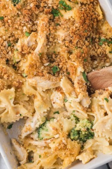 A spoonful of a cheesy casserole with chicken and broccoli.